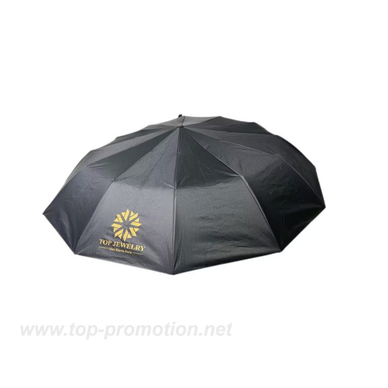 3-1 Umbrella product(1)