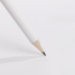 PEN193 (1)