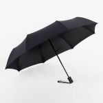 umbrella (2)